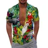 Chemises décontractées pour hommes Parrot Print 3D Digital Loose Short Pride Hommes Hommes Moyen Manches Longues T Grand Et Grand Tee