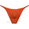 Men Cheeky Briefs Brazilian Bikini Pouch Underwear Pucker Whale Back Thin Ice Silk Stretchy Mini Boxer Hipster Brief