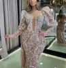 Luxury Mermaid Evening Dresses Long Sleeves V Neck 3D Lace Appliques Sequins Floor Length Pearls Beaded Diamonds Prom Dress Formal Gown Plus Size Gowns Party Dress