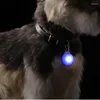 Collari per cani Ciondolo collare per gatti luminoso a LED Luci di fascino incandescente Luce di sicurezza colorata per accessori per animali domestici a piedi di notte