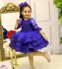 Robes de fille bleu royal robe de bébé gonflée en tulle avec nœud longueur au genou fleur enfants fête robe d'anniversaire