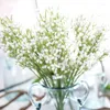 Fleurs décoratives 10 branches explosion fleur en plastique gypsophile vase de mariage artificiel pour la décoration intérieure bricolage cadeau vacances fournisseur décoration