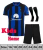 Camisas de futebol Inter 23 24 Maglia Milano LAUTARO SKRINIAR BARELLA camisas de futebol kit infantil 2023 2024 BASTONI GOSENS DZEKO BROZOVIC DE VRIJ Men jersey