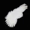 35.4Inch Feather Butterfly Angel Wings Women Teen ledde blinkande Fairy Wing Cosplay Halloween Costumes Halloween Accessories Photography Props White Black Pink Red