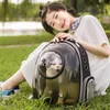 Cat Carriers Rugzak Transparante ruimte Pet Carrier Bag Luxe kleine hond Outdoor Travel Carrying Koffers Benodigdheden