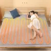 Blankets Intelligent Heating Blank Enlarged Water Tank Heated Bed Circulation Thermo Safe And Power Saving Heater Blanket