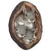 Garden Decorations 1 ~ 5pcs Squirrel Tree Hugger Yard Art Outdoor Tree Hole Statyes Tree Dekor Nyhet Garden Decoration Outdoor Yard Art 231120