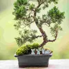 Tuindecoraties 6 stuks Terrarium Micro Landschap Miniatuur Hars Figuur Standbeeld Zandtafel Succulente Pot Bloempot Dier