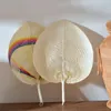 5/10/20pcs Exquisite Decoration Crafts Fans Handmade Peach-shaped Bamboo Woven Fan Colored Hand Fans For Home Wedding Decor