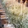 Decoratieve bloemen Gedroogde Gypsophila Wedding Supplies Bouquet voor de bruid Baby Baby Braath Garden Decor Bohemian Chic Decoration Holiday Gifts