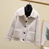 Women's Vests Imitation Lamb Wool And Cashmere Padded Coat Thickened Female 2023 Winter Loose Stand Collar Warm