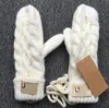 Designer Femmes Gant de mode Gants en peau de mouton avec boîte en cuir d'hiver de haute qualité commerce extérieur nouveaux hommes équitation imperméable plus fitness thermique en velours