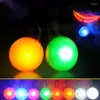 Collari per cani Ciondolo collare per gatti luminoso a LED Luci di fascino incandescente Luce di sicurezza colorata per accessori per animali domestici a piedi di notte