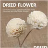 Flores decorativas grinaldas varas difusor reed óleo fragrância flor rattan aroma essencial substituição vara de madeira refil ho dhc3n