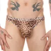 Underpants Leopard Briefs Men's Underwear Sexy Mesh See Trough Erotic Lingerie Low Waist Underpant Breathable Bulge Pouch Seamless