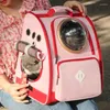 Kedi Taşıyıcılar Açık Taşıyıcı Tuval Çanta Hafif Plastik Şeffaf Moda Sırt Çantası Havalandırma Bolsa Pet