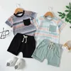 Ensembles de vêtements pour bébés garçons et filles, manches courtes, imprimés rayés, t-shirt, hauts et Shorts, tenues pour bébé garçon de 36 mois, tenue de pâques