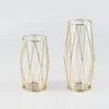 Vasos Home Nordic ferro ouro vaso de vidro sala de estar mesa de estudo decoração flor seca hidropônica