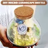 Vases Landscape Bottle Moss Crafts Terrarium Mini Pots Microlandschaft Empty Container Succulent Glass Planter For Plants