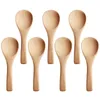 Coffee Scoops 60 Pieces Small Wooden Spoons Mini Nature Tasting Condiments Salt (Natural Wood Color)