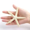 Juldekorationer Ourwarm 10st Artificial Harts Starfish Decoration 10cm Finger DIY Craft Beach 231120