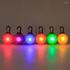 Collari per cani Ciondolo collare per gatti luminoso a LED Luci di fascino incandescente Luce di sicurezza colorata per accessori per animali domestici a piedi di notte