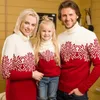 Tenues assorties à la famille Pull à manches longues Maman Robe en tricot Doux Chaud Épaissir Pulls Tricots Look de Noël 2023 Hiver Papa Enfants Col Roulé 231121