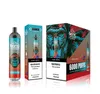 Authentic Bang King 6000 Puff Disposable Vape Pen 14 ml Förfylld POD-mesh-spole 850mAh Uppladdningsbar batteri Luftjusterbar 0% 2% 3% 5% Nivå Puffs 6K E Cigarett 24 Smaker