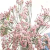Fiori decorativi Fiore artificiale Pianta di plastica Decorazione diserbo Bella mano legata Decorazioni per la casa Hogar Stile nordico Domiciliare Il 2023