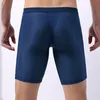 Underpants 3pcs Mesh Men Rouphe Man Sexy Long Boxer calcinha S para Homme 230420