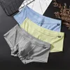Underpants Mens Boxer Trunks Low Waist Sweat Breathable Shorts Peni Enhancing Pouch Panties Striped For Male Boxershorts 2XL 230420
