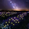 Outdoor LED Solar Firefly Lights Winding Waterproof IPX6 Lawn Landscape Choink Decor Decor Night Lighting 6LED