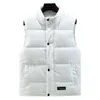 Herenvesten Heren Outdoor Vest Mouwloos jack Verdikte gewatteerde winterjas met opstaande kraag Winddicht Warm met