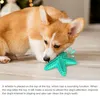 Starfish Dog Chew Quietschendes Spielzeug Große Hundezahnbürste Interaktives Haustierspielzeug Zahnpflege Zahnreinigung Molarenstab Elastisches Hundespielzeug