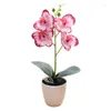 Decorative Flowers Potted Orchids Artificial Orchid Cafe Garden Office Pink Plus White Rose ABS Material Orange-red