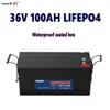 36V 100AH Lifepo4 batterie pack Lithium fer phosphate Rechargeable solaire-RV avec bms pour moteur Camping en plein air moteur