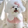 Hondenkleding ins roze huisdier mantel nek bichons teddy kattenhoed accessoires voor verjaardagsartikelen kostuumpuppy