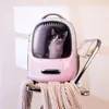 Cat Carriers torba podróżna Dziewczęta przenośne ramiona zewnętrzne oddychające walizki do walizki Estetyczne Kedi Malzemeleri Pet