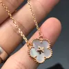 Designer Classic Leaf Clover kettingen Hangers Mode roestvrij 18k voor vrouwelijke meisjes verjaardagsbetrokkenheid sieraden