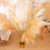 Decorative Flowers Artificial Pampas Grass Fake Plants Feather Reed Cortaderia Selloana Iron Wire Home Decoration Aritficial Feathers