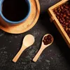 Coffee Scoops 60 Pieces Small Wooden Spoons Mini Nature Tasting Condiments Salt (Natural Wood Color)