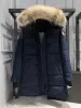 Designer canadense ganso meados de comprimento versão puffer para baixo jaqueta das mulheres parkas inverno grosso casacos quentes à prova de vento streetwear c1