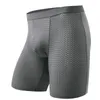 Underpants 3pcs Mesh Men Rouphe Man Sexy Long Boxer calcinha S para Homme 230420