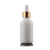 White Porcelain Essential Oil Perfume Bottles e Liquid Bottles Reagent Pipette Dropper Aromatherapy Bottle 5ml-100ml Wholesale free DHL Gkis