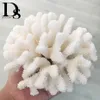 14-16 cm 100% naturalne morze koralowe białe koralowe drzewo koralowe białe koralowce akwarium krajobrazowe ozdoby wyposażenia domu dekoracja domowa 254Q