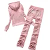 Juicy womens tracksuit Automne printemps femmes costumes de sport mince décontracté velours femmes survêtements à capuche col Jogging vêtement de sport Juicy tracksuit