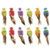 12 pcs Coloré Mini Simulation Oiseaux Faux Mousse Artificielle Modèle Animal Miniature De Mariage Maison Jardin Ornement Décoration C19041601332N