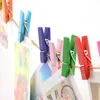 Mini clipes de mola prendedores de roupa, design bonito 35mm, estacas coloridas de madeira para pendurar roupas, papel, foto, cartões de mensagem, doxms