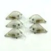 Hengjia 50 peças / lote Manivela Isca De Pesca Iscas com 3D Olhos Realistas Sem Pintura Plástico Rígido Artificial Transparente SEM HOOK278o