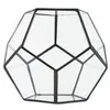 Zwart Glas Vijfhoek Geometrische Terrarium Container Vensterbank Decor Bloempot Balkon Planter Diy Display Box Geen Plant T2001042489